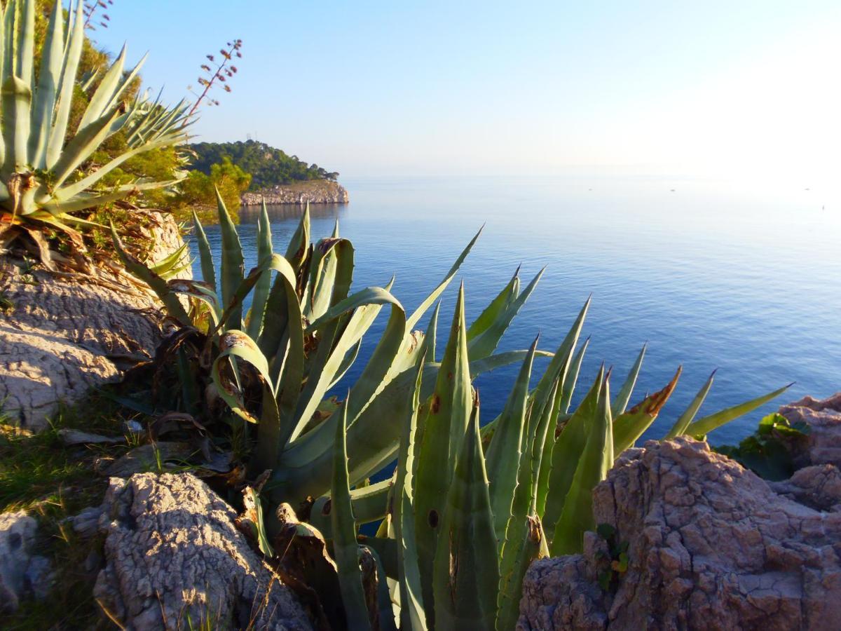 Apartment Burich Makarska Exterior photo